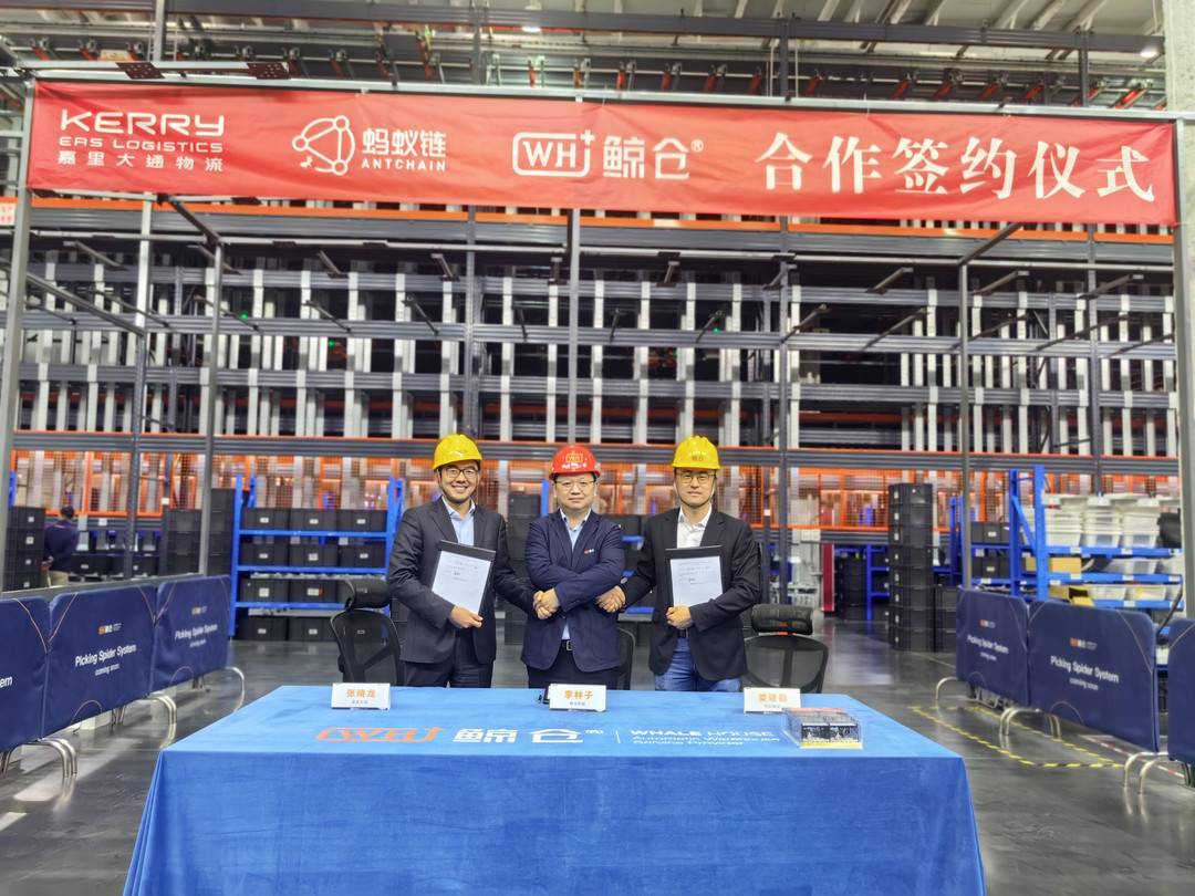 嘉里 鯨倉 螞蟻鏈 嘉里 鯨倉 螞蟻鏈